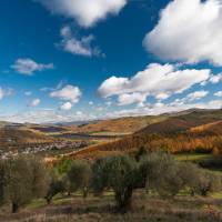 pierle-cortona_1280-25